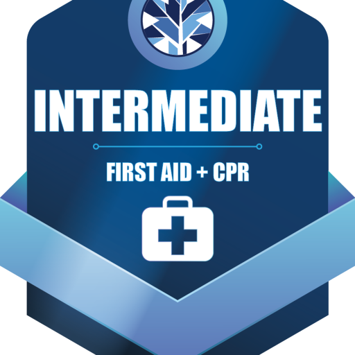 Earn this digital credential